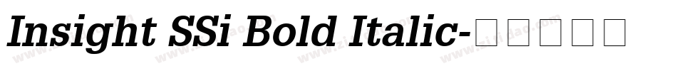 Insight SSi Bold Italic字体转换